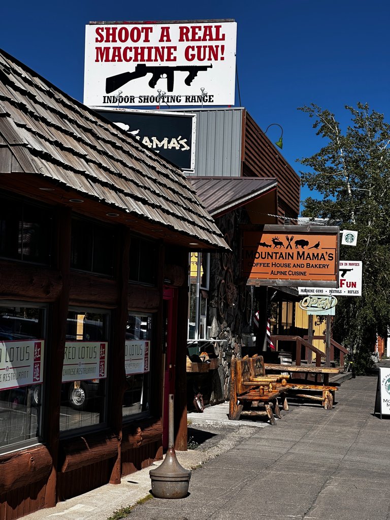 Gun store