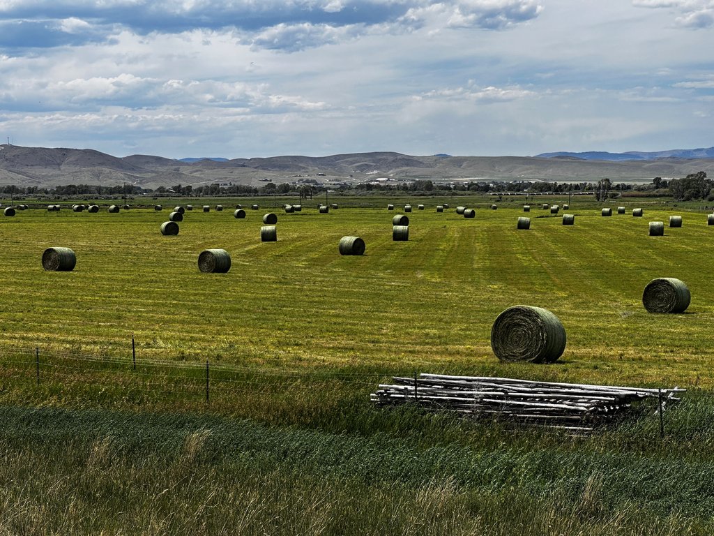 Making Hay