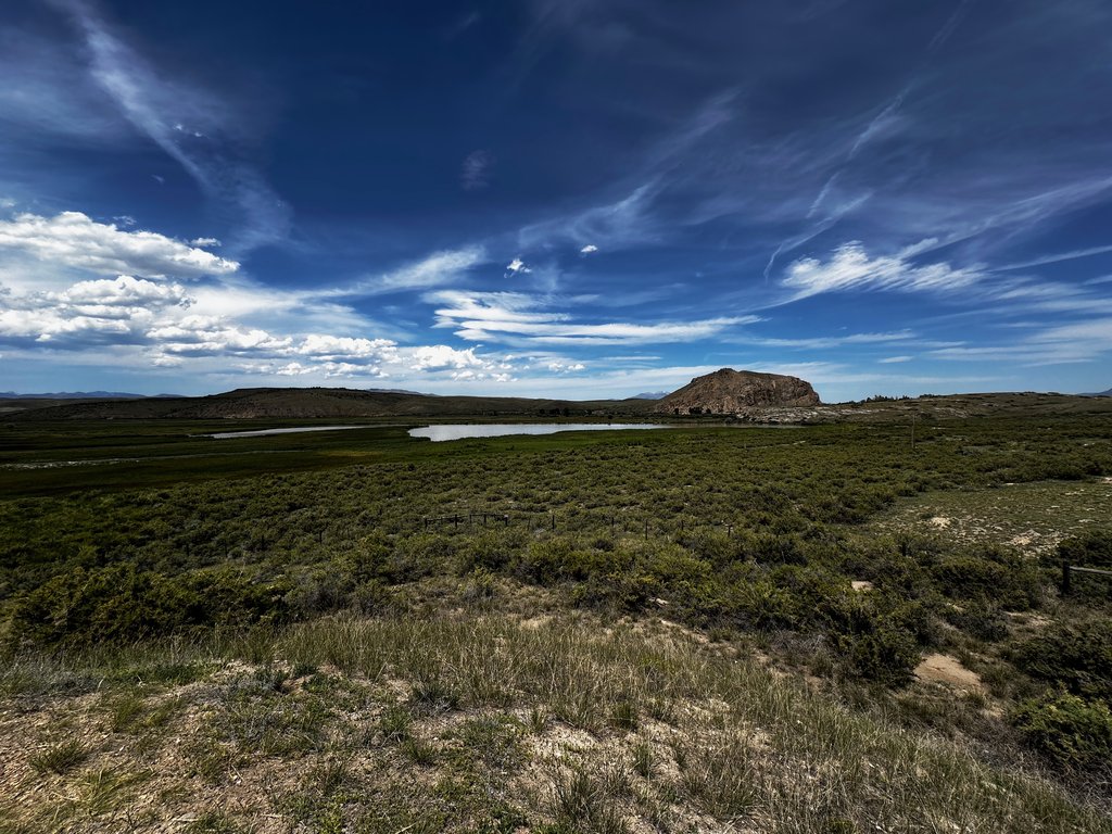 Shoshone spot photo