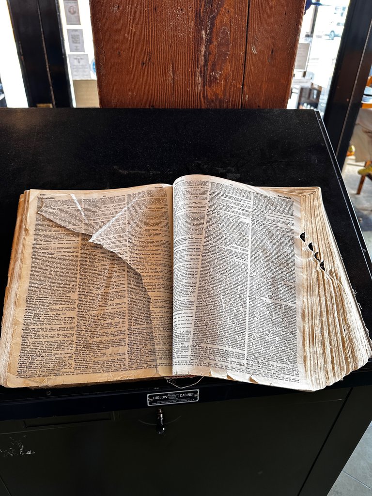 OED in Cafe Zeitgeist