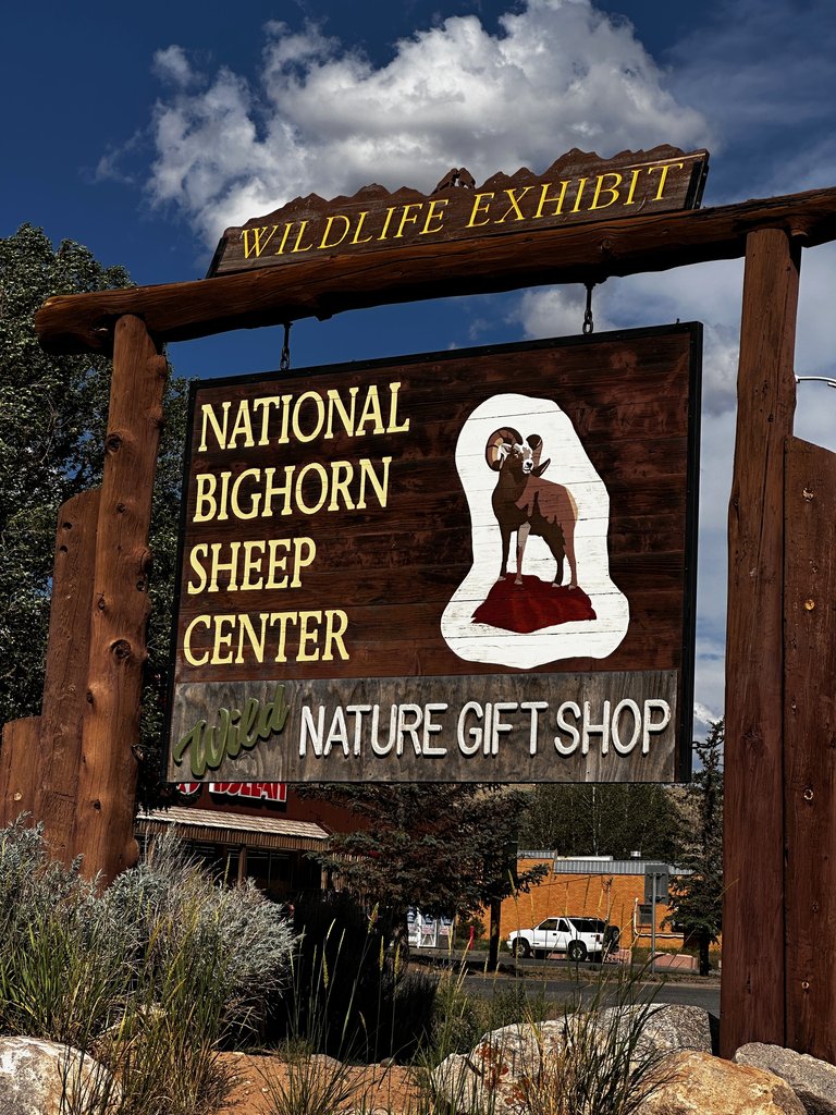 Sheep Entry Sign