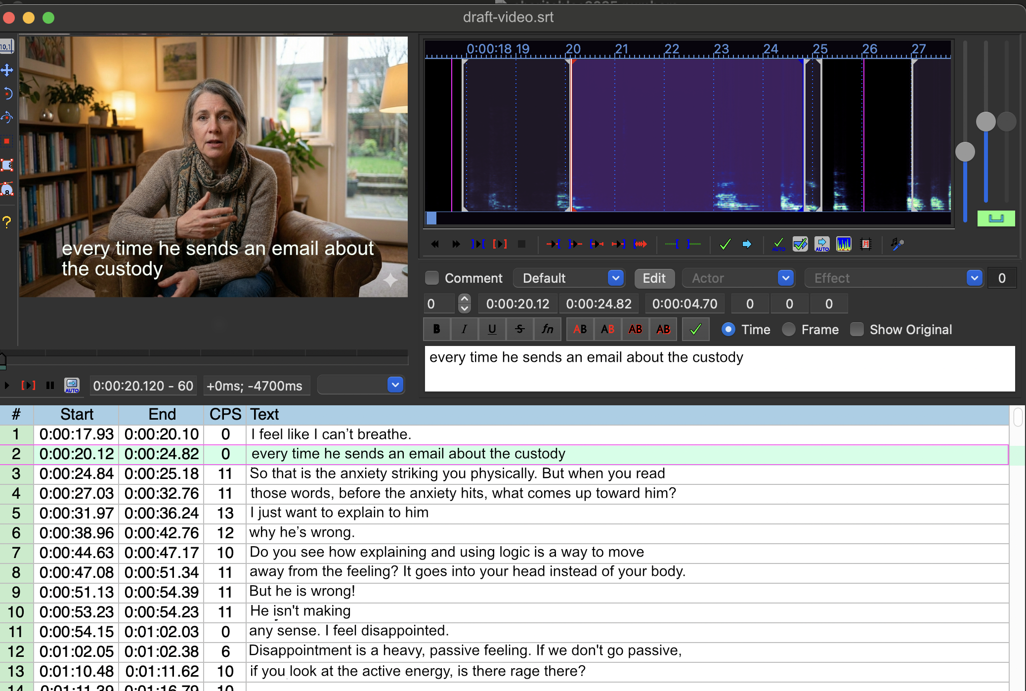 Aegisub User Interface Screenshot